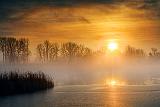 Foggy Rideau Canal Sunrise_31817